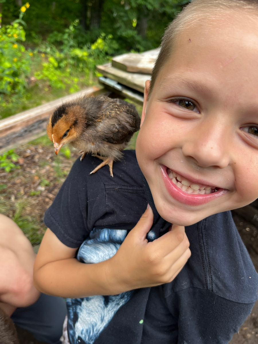 A baby chicken on shoulder