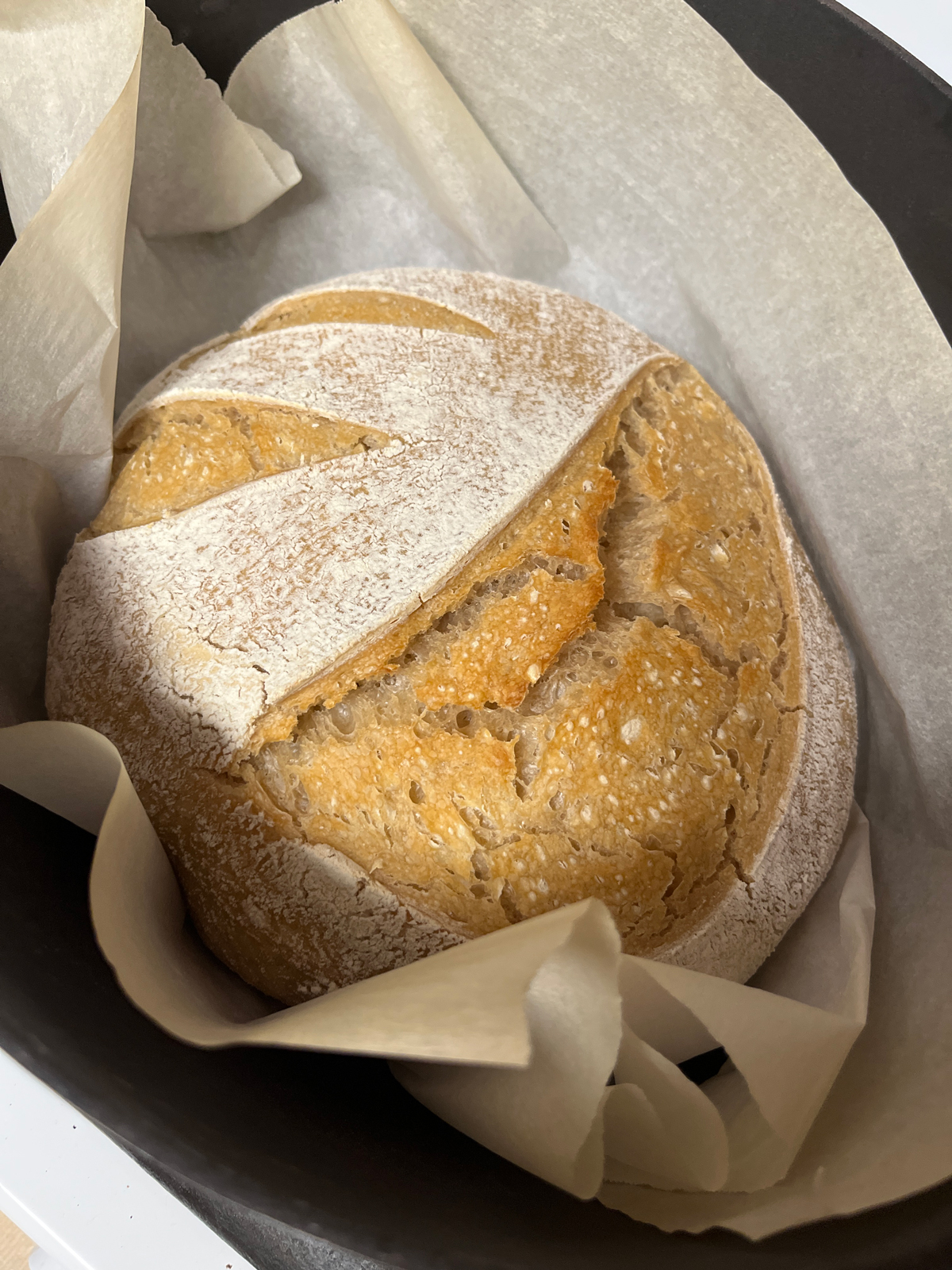 Sourdough Bread